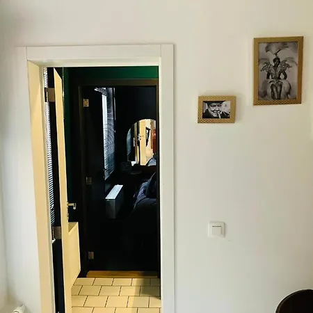 Suikernest * Antwerp
